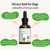Pet Wellbeing Urinary Gold for Dogs - Image 2