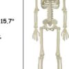 16" Full Body Realistic Faux Human Skeleton with Movable Joints - Image 2
