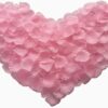 1000 PCS Fake Rose Petals