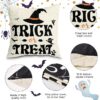 18x18 Set of 4 for Halloween Decor Indoor Outdoor - Image 3