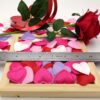 Heart Confetti Decoration - Image 3