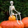16" Full Body Realistic Faux Human Skeleton with Movable Joints - Image 4