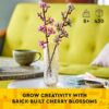 Cherry Blossoms Celebration Gift - Image 2