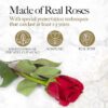 27-Piece Forever Flower Heart Shape Box Preserved Roses - Image 4