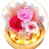 Preserved Flowers Real Roses in Glass Gift