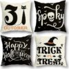 18x18 Set of 4 for Halloween Decor Indoor Outdoor