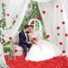 3000 PCS Red Artificial Silk Rose Petals - Image 4