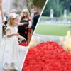 3000 PCS Red Artificial Silk Rose Petals - Image 6