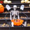 16" Full Body Realistic Faux Human Skeleton with Movable Joints - Image 5