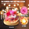 Preserved Flowers Real Roses in Glass Gift - Image 2