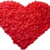 3000 PCS Red Artificial Silk Rose Petals